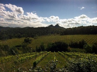 en avril sous un ciel nuageux.jpg